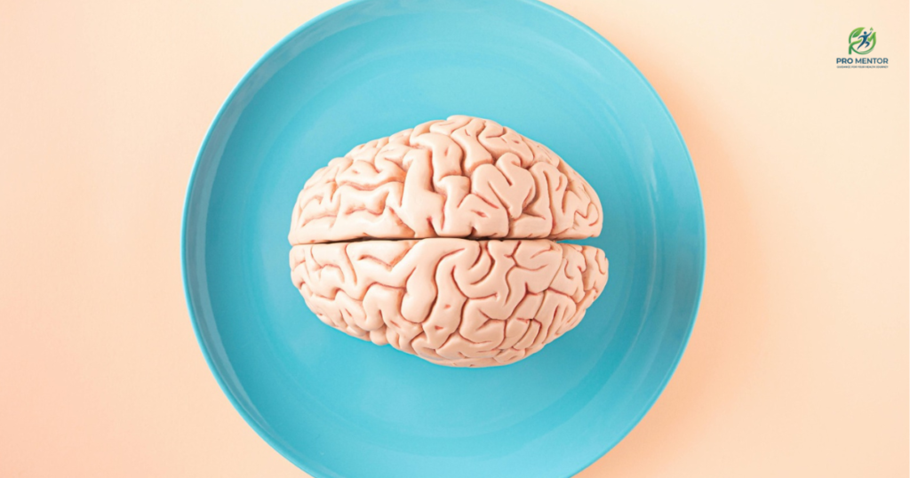 A realistic model of a human brain placed in the center of a bright blue ceramic plate, viewed from directly above.